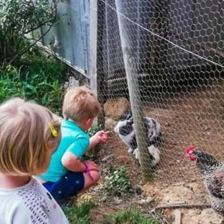 Camping Mobil-home Confortable Avec Terrasse Pour 5 Personnes - Api-1-52-1020 Martiel