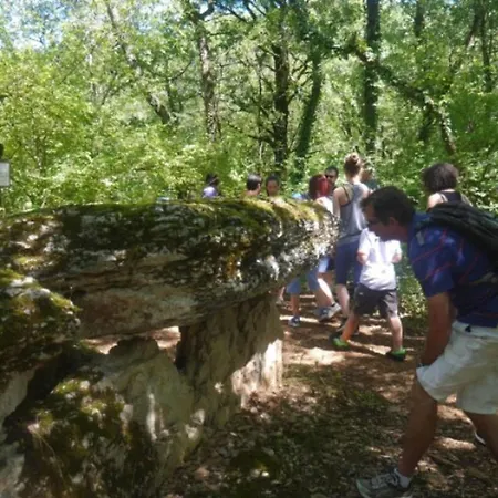 Mobil-home Confortable Avec Terrasse Pour 5 Personnes - Api-1-52-1020 Camping *