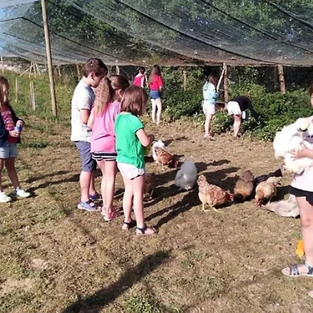 Mobil-home Confortable Avec Terrasse Pour 5 Personnes - Api-1-52-1020 *