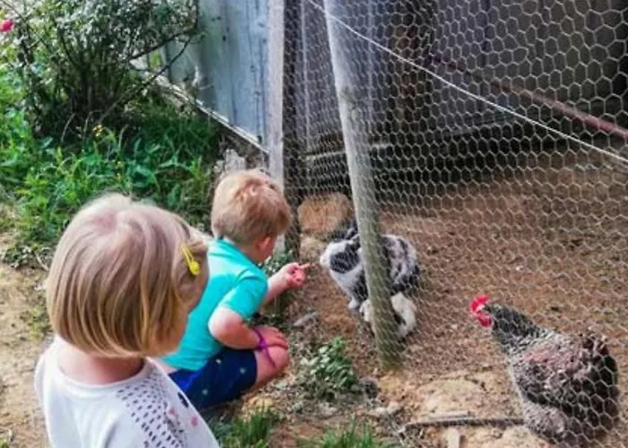 Camping Mobil-home Confortable Avec Terrasse Pour 5 Personnes - Api-1-52-1020 Martiel