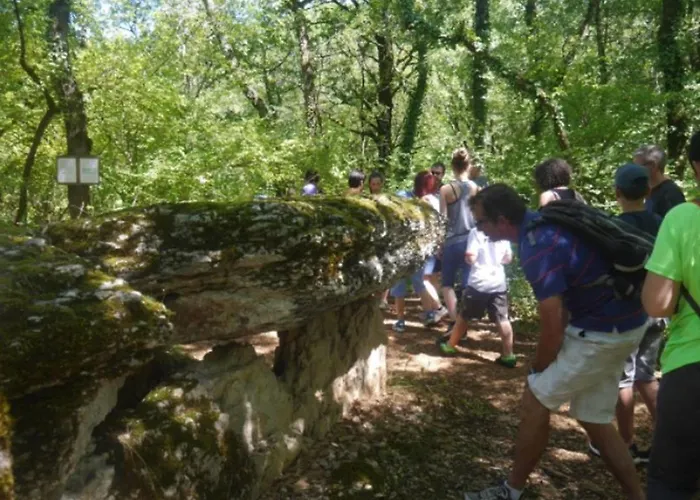 Mobil-home Confortable Avec Terrasse Pour 5 Personnes - Api-1-52-1020 Camping *