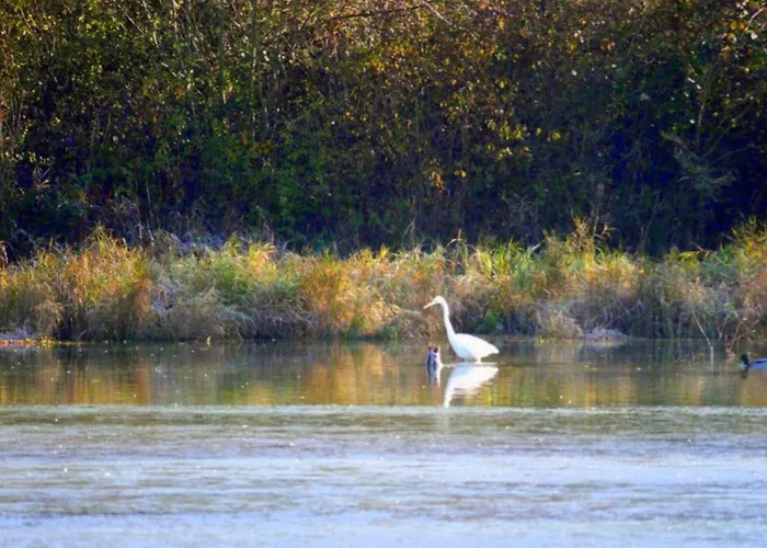 Mobil-home Confortable Avec Terrasse Pour 5 Personnes - Api-1-52-1020 Camping *