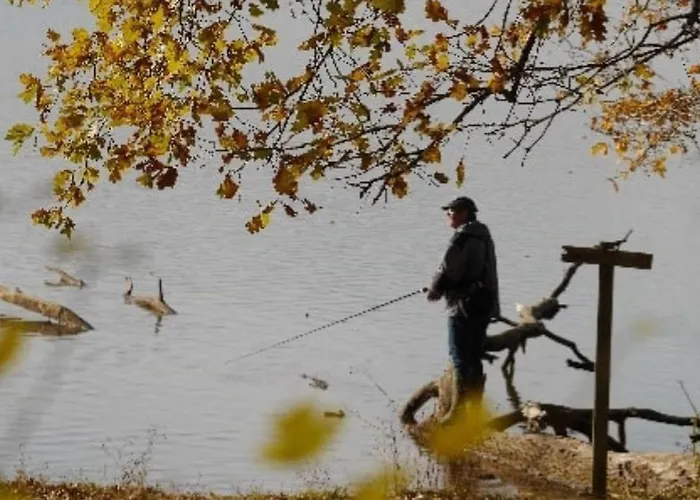 Mobil-home Confortable Avec Terrasse Pour 5 Personnes - Api-1-52-1020 Camping Martiel