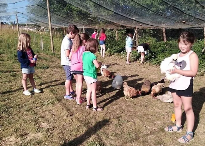 Mobil-home Confortable Avec Terrasse Pour 5 Personnes - Api-1-52-1020 *